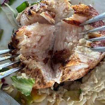 Newant Olympos Health Resort'ta Eksik Hizmet Ve İlgisiz Yönetim