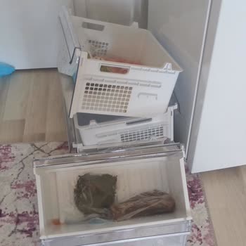 Beko Derin Dondurucu Arızası Ve İlgisiz Servis Mağduriyeti