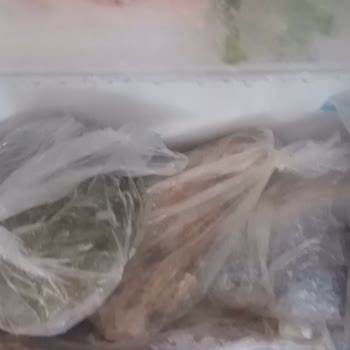 Beko Derin Dondurucu Arızası Ve İlgisiz Servis Mağduriyeti