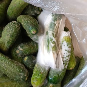 Bozuk Ürün Teslimatı Sonrası İade Sürecinde Mağduriyet Yaşadım