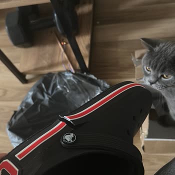 Defolu Ürün Ve Yetersiz Müşteri Hizmetleri Nedeniyle Mağduriyet