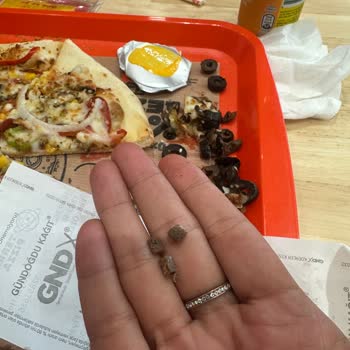 Zeytin Çekirdeği Nedeniyle Diş Telim Kırıldı, Mağduriyetimin Giderilmesini Talep Ediyorum