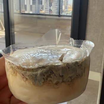 Vakumlu Peynir Paketinde Küf Sorunu Yaşadım Mağduriyetimin Giderilmesini İstiyorum