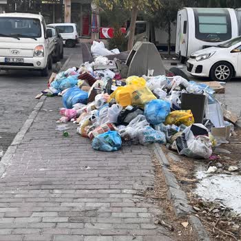 Karşıyaka'da Temizlik Hizmetlerinin Yetersizliği Ve Çözüm Talebi
