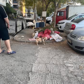 Karşıyaka'da Temizlik Hizmetlerinin Yetersizliği Ve Çözüm Talebi