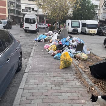Karşıyaka'da Temizlik Hizmetlerinin Yetersizliği Ve Çözüm Talebi