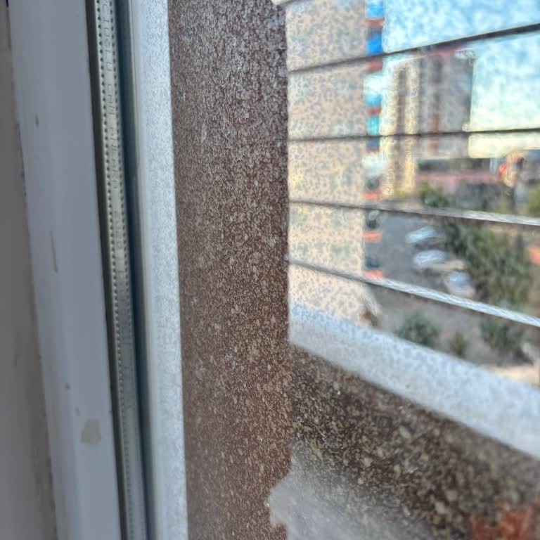 Garanti Belgesi Verilen Camlarda Yaşadığım Sorunlar