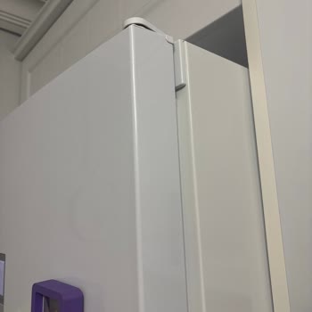 Bosch Buzdolabımda Sürekli Devam Eden Sararma Sorunu