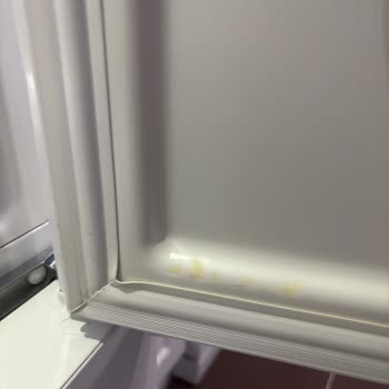 Bosch Buzdolabımda Sürekli Devam Eden Sararma Sorunu