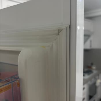 Bosch Buzdolabımda Sürekli Devam Eden Sararma Sorunu