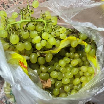 Tahsildaroğlu Ürünleri Bozuk