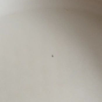 Neoflam Tencere Setinde Yüzey Bozulması Ve Garanti Sorunu