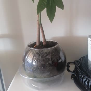 Yanlış Ve Kusurlu Ürün Gönderimi, İlgisiz Müşteri Hizmetleri