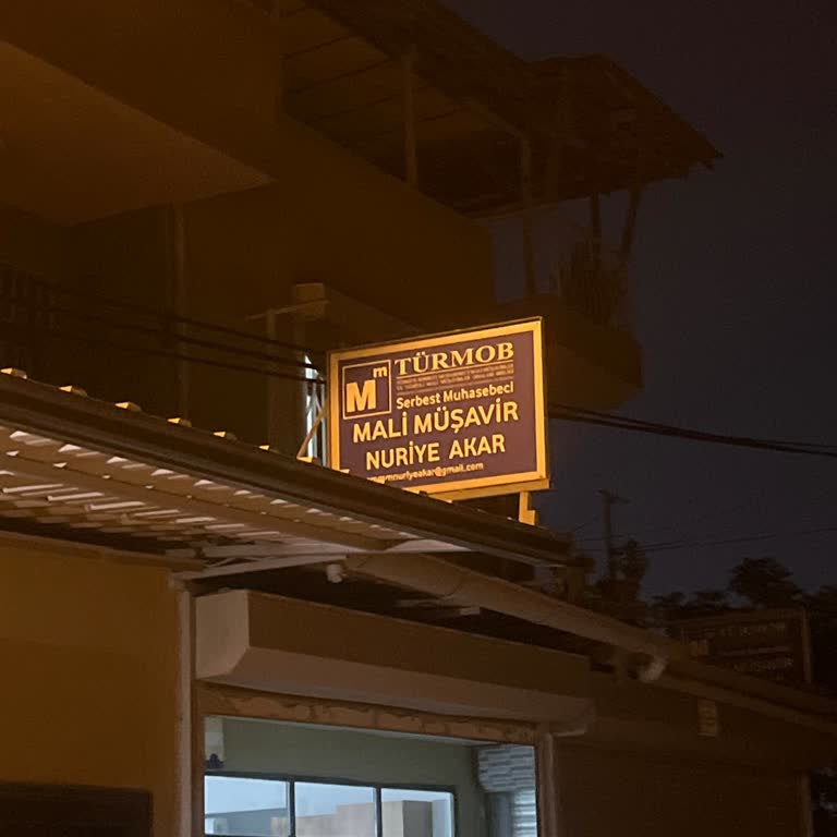 Antalya Serbest Muhasebeci Mali Müşavirler Odası Muhasebecinin Saygısızlığı Ve İş Yapmama Tehdidi