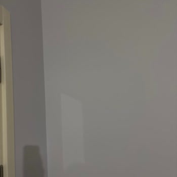 Karteladaki Renkle Alakasız Boya: Büyük Hayal Kırıklığı