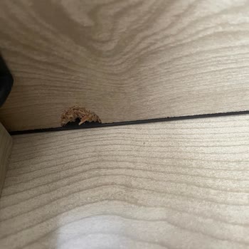 Aldığım Koltuklar Sorunlu Çıktı, Aylardır Mağdur Edildim Çözüm Sunulmadı