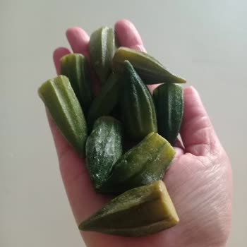 Egeden Kadın Dayanışması Gönderilen Bamya Siparişi Kalitesiz Ve Sağlıksız Çıktı