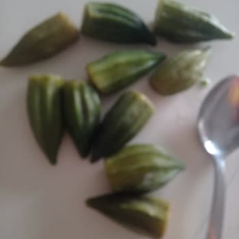 Egeden Kadın Dayanışması Gönderilen Bamya Siparişi Kalitesiz Ve Sağlıksız Çıktı