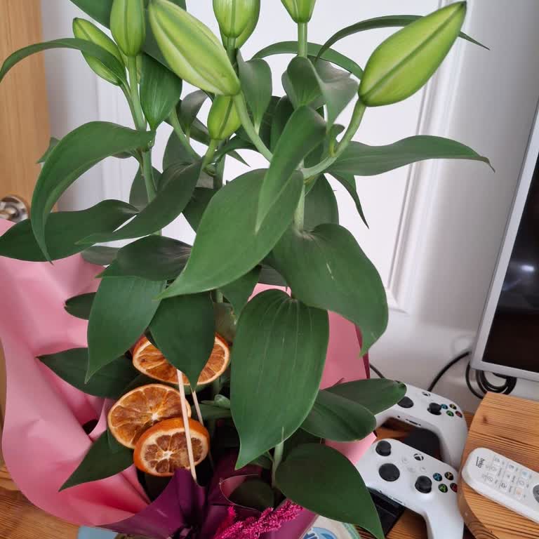 Onaylamadığım Çiçek Teslim Edildi Ve Mağduriyetim Giderilmedi