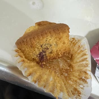 Ülker Magma Kekten Son Kullanma Tarihi Geçmediği Halde Canlı Böcek Çıktı