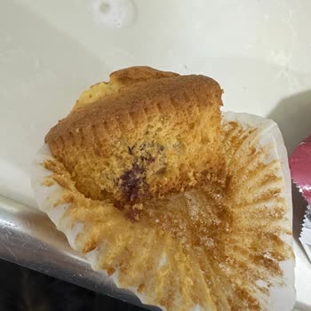 Ülker Magma Kekten Son Kullanma Tarihi Geçmediği Halde Canlı Böcek Çıktı