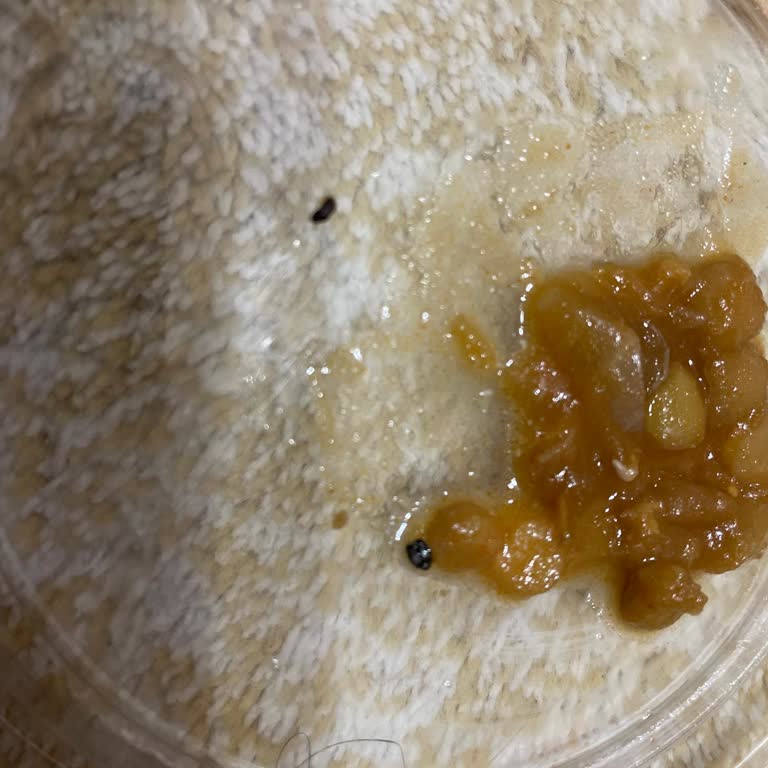 Aldığım Yeşil Mercimekten Böcek Çıktı Mağduriyetimin Giderilmesini İstiyorum