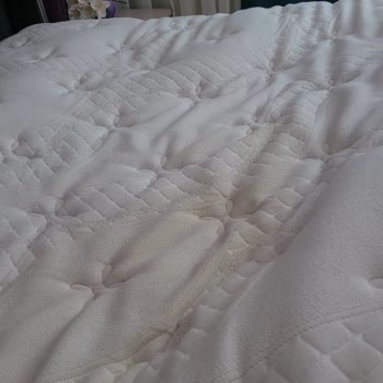 Yatakta Sararma Ve Garanti Dışı Bırakılma Mağduriyeti