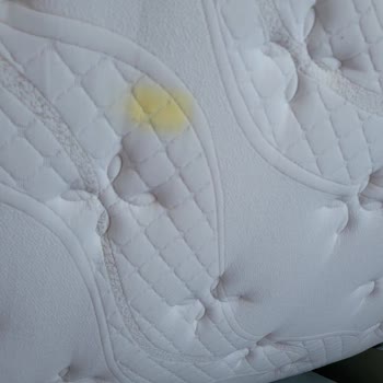 Yatakta Sararma Ve Garanti Dışı Bırakılma Mağduriyeti