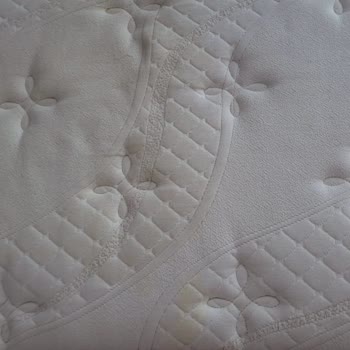 Yatakta Sararma Ve Garanti Dışı Bırakılma Mağduriyeti