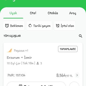 Kimlikte Fotoğraf Eksikliği Nedeniyle Ailece Uçağa Alınmadık, Maddi Zarara Uğradık
