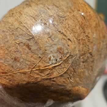 Küflü Ürün Teslimatı Ve Yetersiz Müşteri Hizmeti Deneyimi