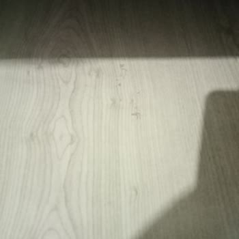 Bellona Ayıplı Koltuk Takımı Ve Yetersiz Çözüm Süreci Nedeniyle Güven Kaybı