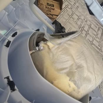 Bir Ayda Yıpranan Yürüteç Ve İade Sorunu: Mağduriyetim Giderilsin