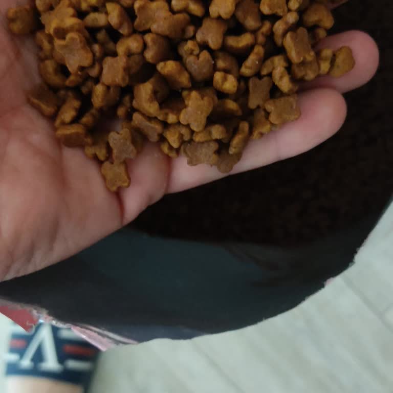 Yanlış Marka Kedi Maması Gönderildi, Müşteri Hizmetleri Yanıtsız Kaldı