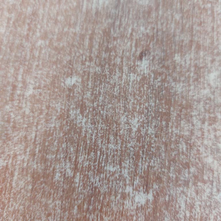 HD İskender Şubesinde Hijyen Sorunu Ve İlgisiz Personel