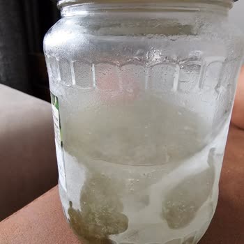 Buzdolabım Meyve Ve Sebzeleri Donduruyor, Sorunum Çözülmüyor