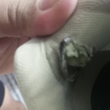 Kısa Sürede Yırtılan Ayakkabıya Garanti Desteği Sağlanmadı