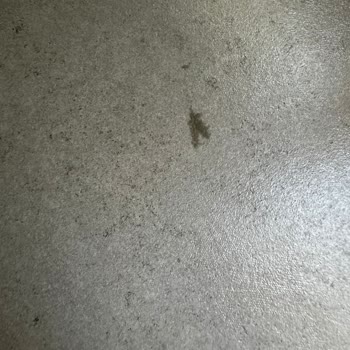 Garanti Kapsamında Cam Balkon Sorunlarımın Çözülmesini Talep Ediyorum