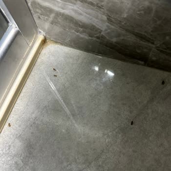 Grand Belish Hotel'de Hijyen Eksikliği Ve Gıda Zehirlenmesi Mağduriyeti