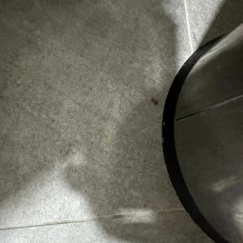 Grand Belish Hotel'de Hijyen Eksikliği Ve Gıda Zehirlenmesi Mağduriyeti