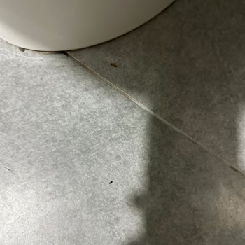 Grand Belish Hotel'de Hijyen Eksikliği Ve Gıda Zehirlenmesi Mağduriyeti