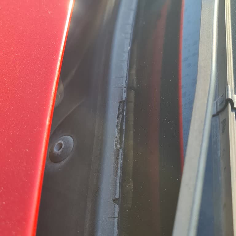 BMW 3.20ied F30 Ön Cam Altı Çıtasının Pul Pul Dökülmesi Ve Ücretli Değişim Sorunu