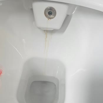 Klozetlerde Paslanma Ve Su Sıçraması Sorunu Çözülmüyor