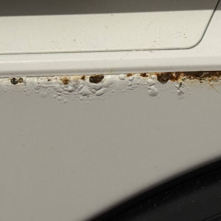 Yeni Alınan Çamaşır Makinesinde Paslanma Ve Çözüm Eksikliği