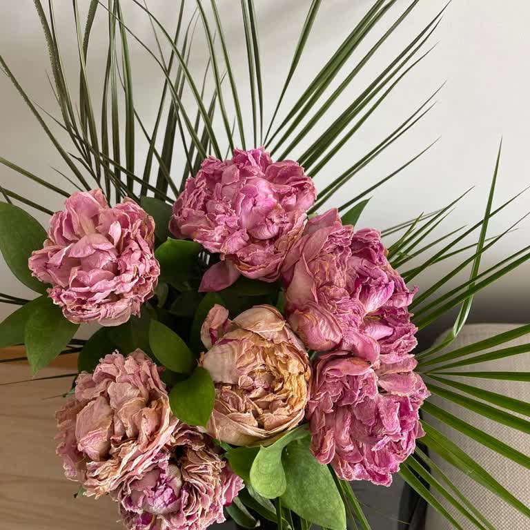 Solmuş Çiçek Ve Yetersiz Müşteri Hizmeti Mağduriyeti