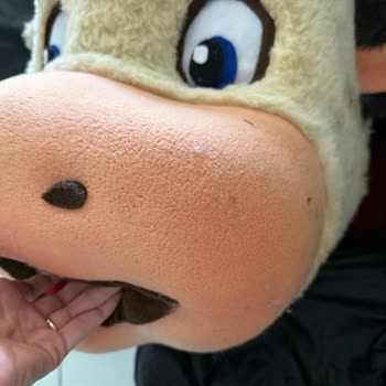 Maskot Uzmanı Ürünün Kalitesizliği