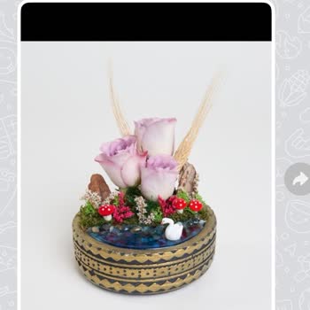 Sipariş Edilen Teraryumun Eksik Ve Farklı Teslim Edilmesi, Müşteri Hizmetlerinden Yanıt Alınamaması