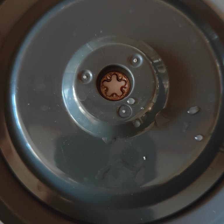 Grundig Delisia HBS 7285 CDX Üst Kapakta Paslanma Ve Su Birikmesi Sorunu