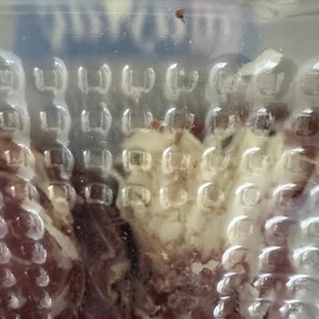 Aldığım Pastırma Tamamen Yağ Dolu Ve Tüketilemez Halde Çıktı