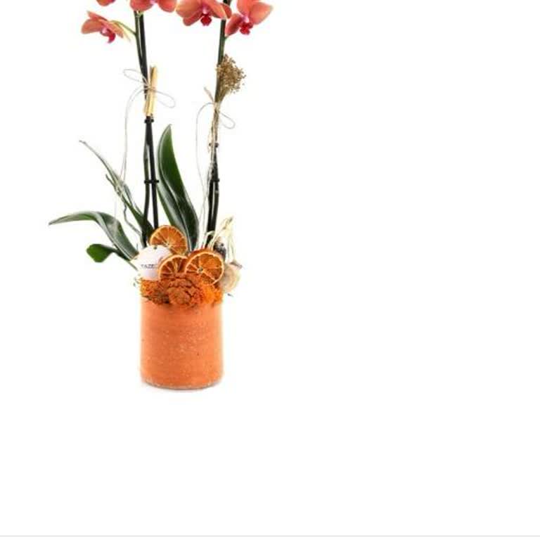 Siparişimdeki Orkide Beklentimi Karşılamadı, İade Talebim Reddedildi